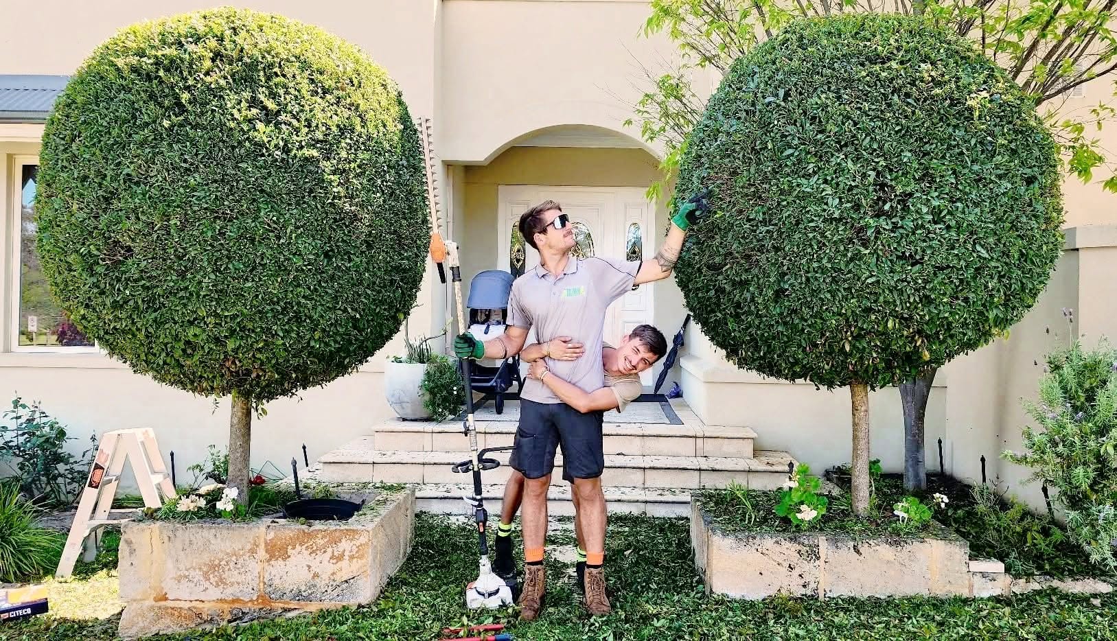 The Hedge Whisperer — Landscaping