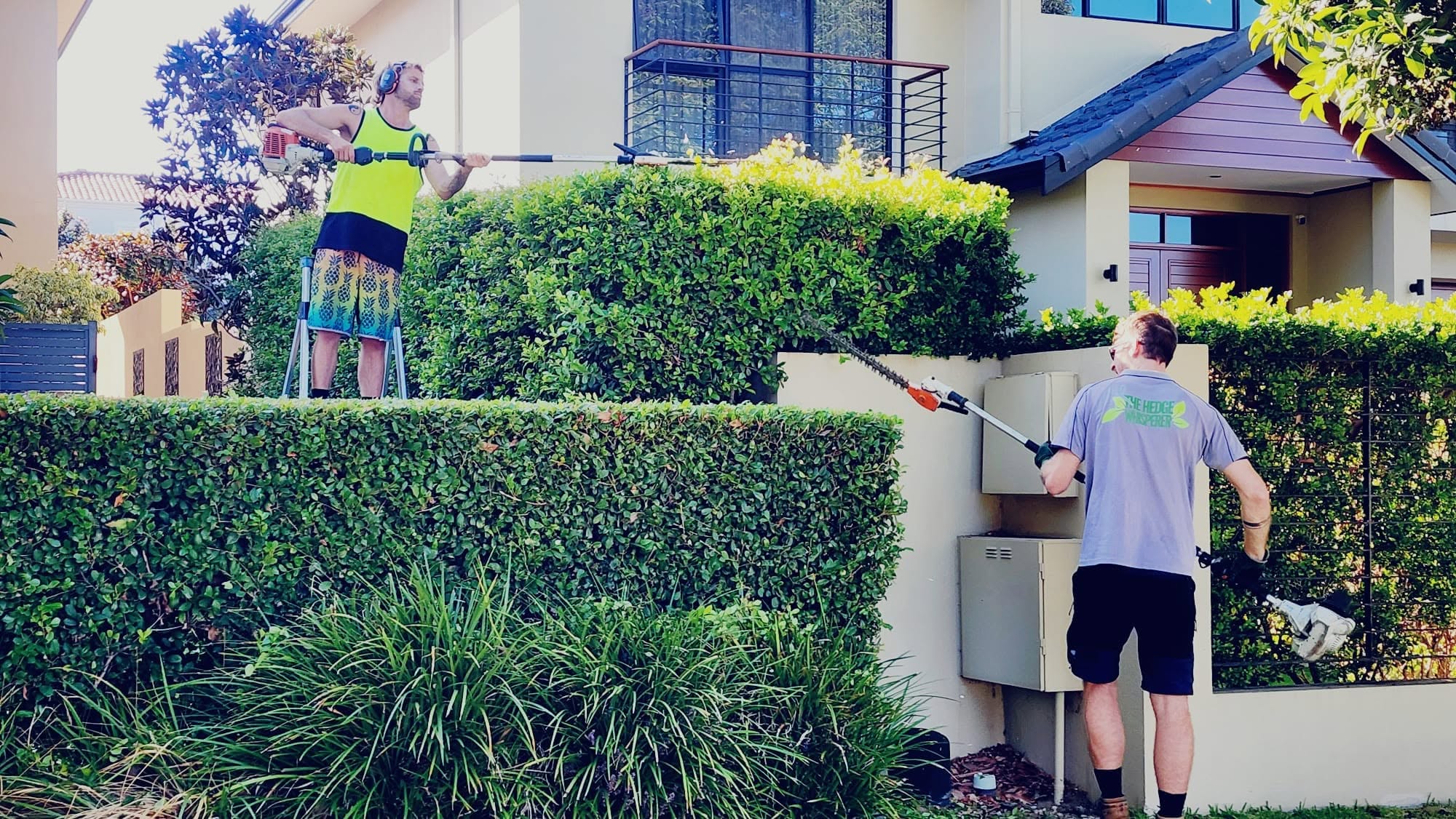 The Hedge Whisperer — featured work 4