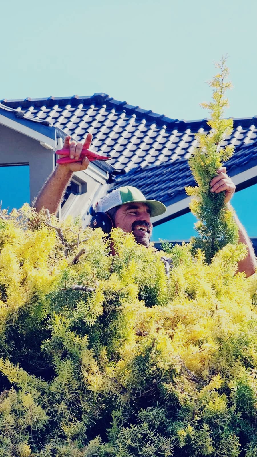 The Hedge Whisperer — featured work 8