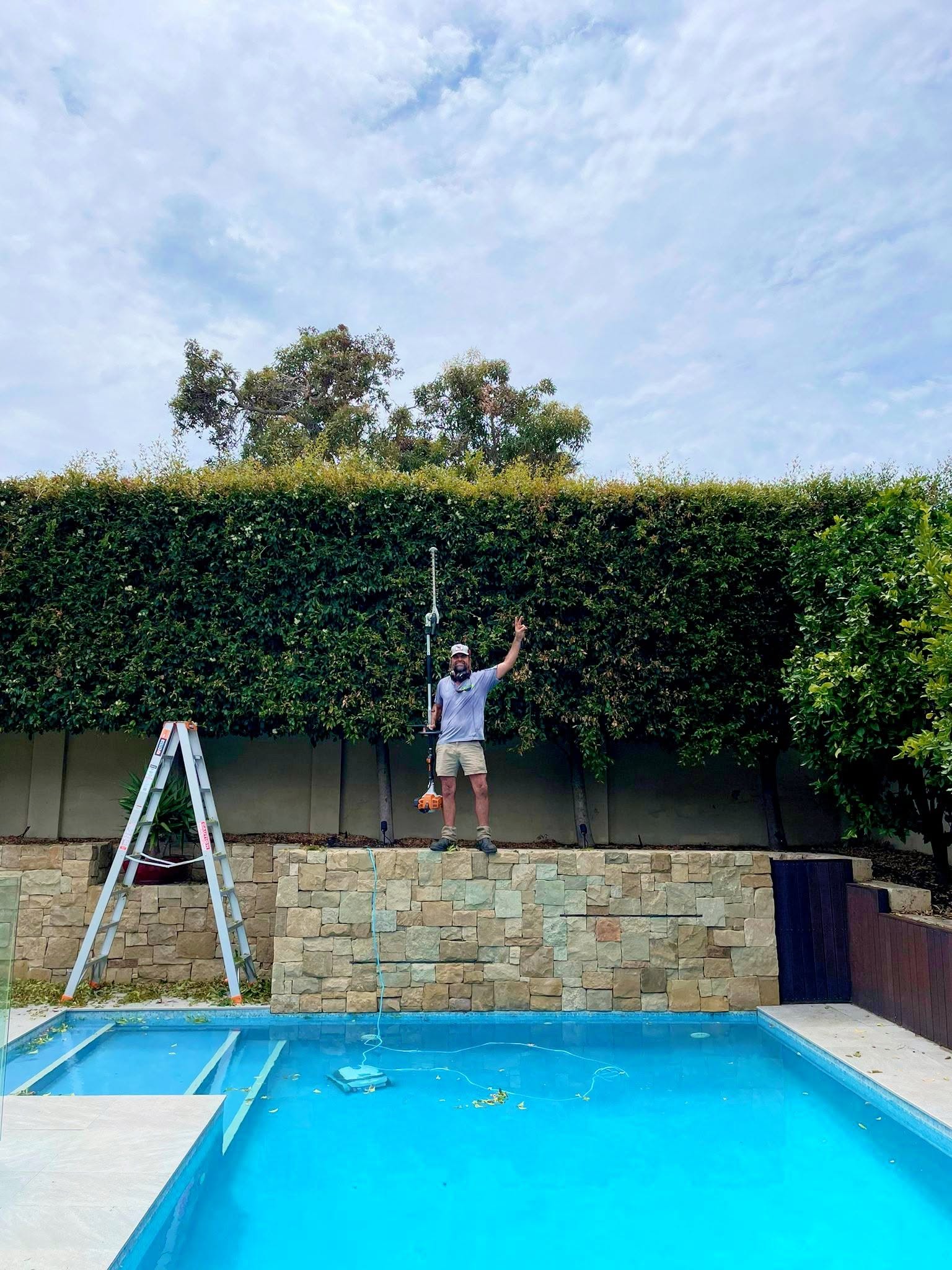 The Hedge Whisperer — featured work 16