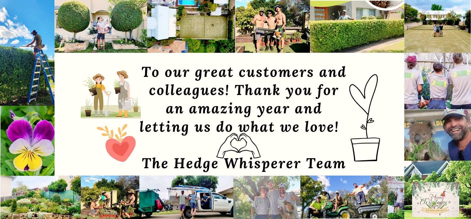 The Hedge Whisperer — featured work 17