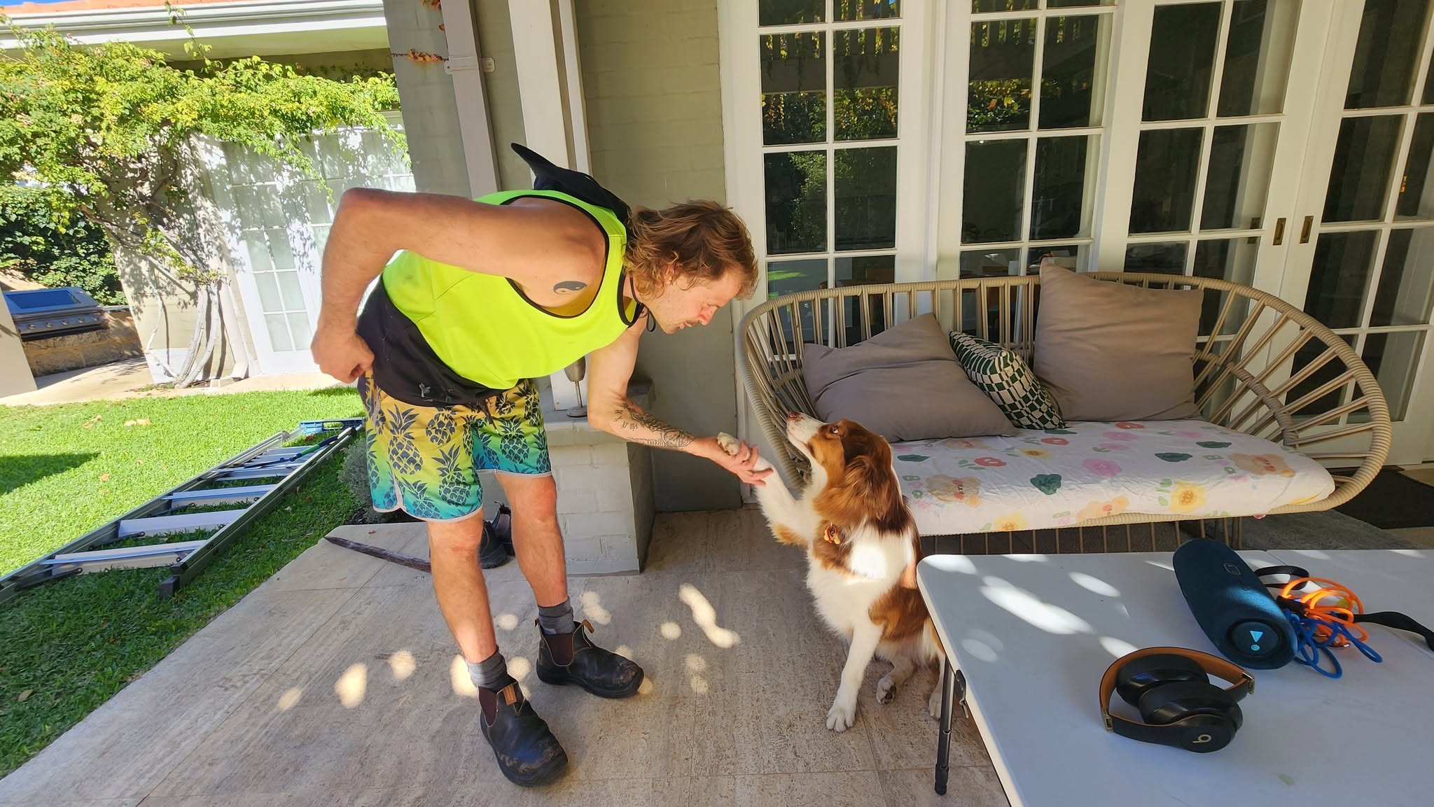 The Hedge Whisperer — featured work 21