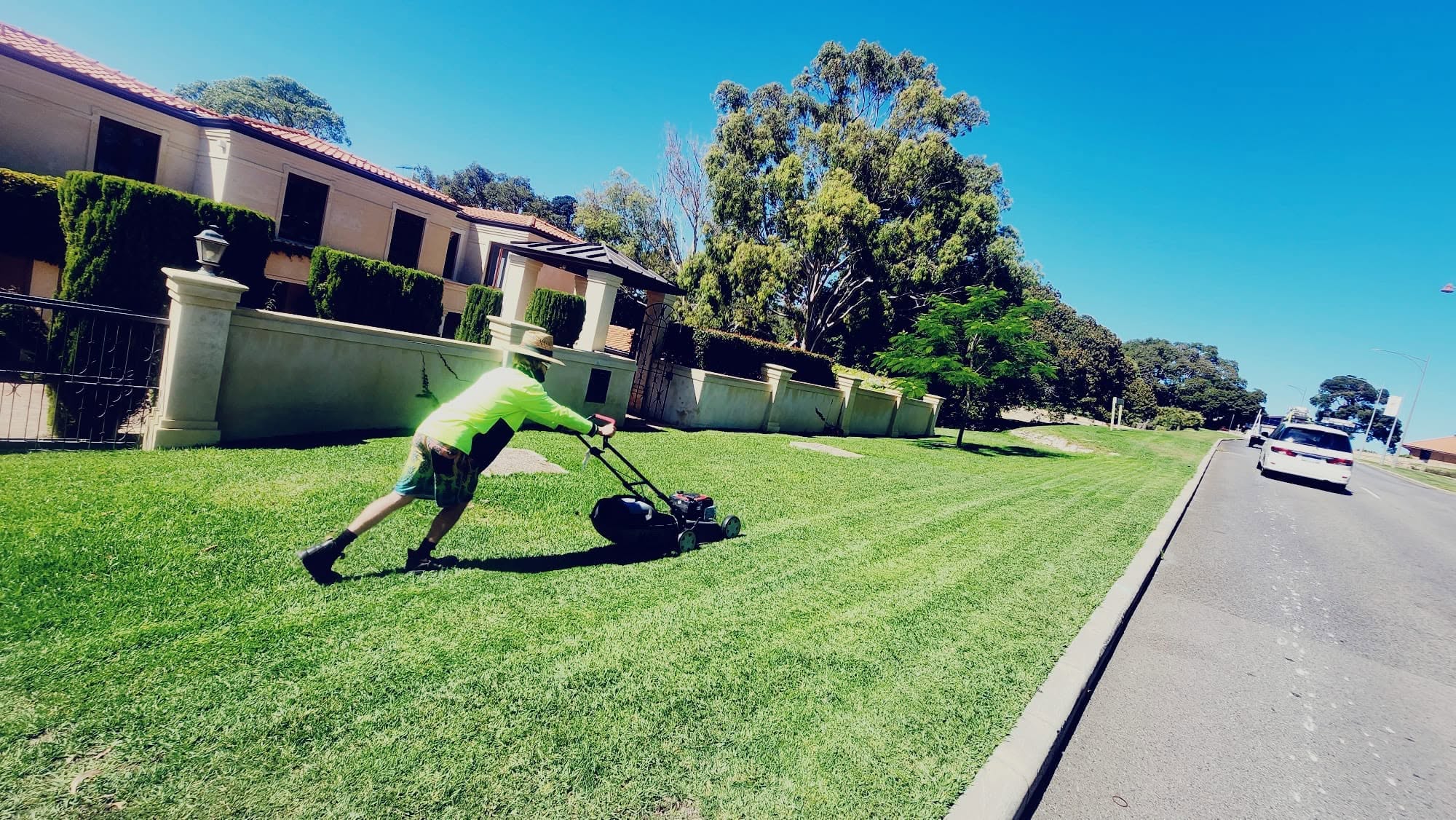 The Hedge Whisperer — featured work 23